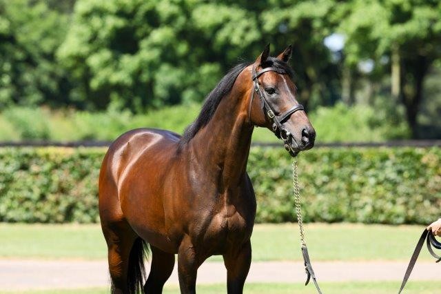 Time Test Stakes Winner @ The Championships