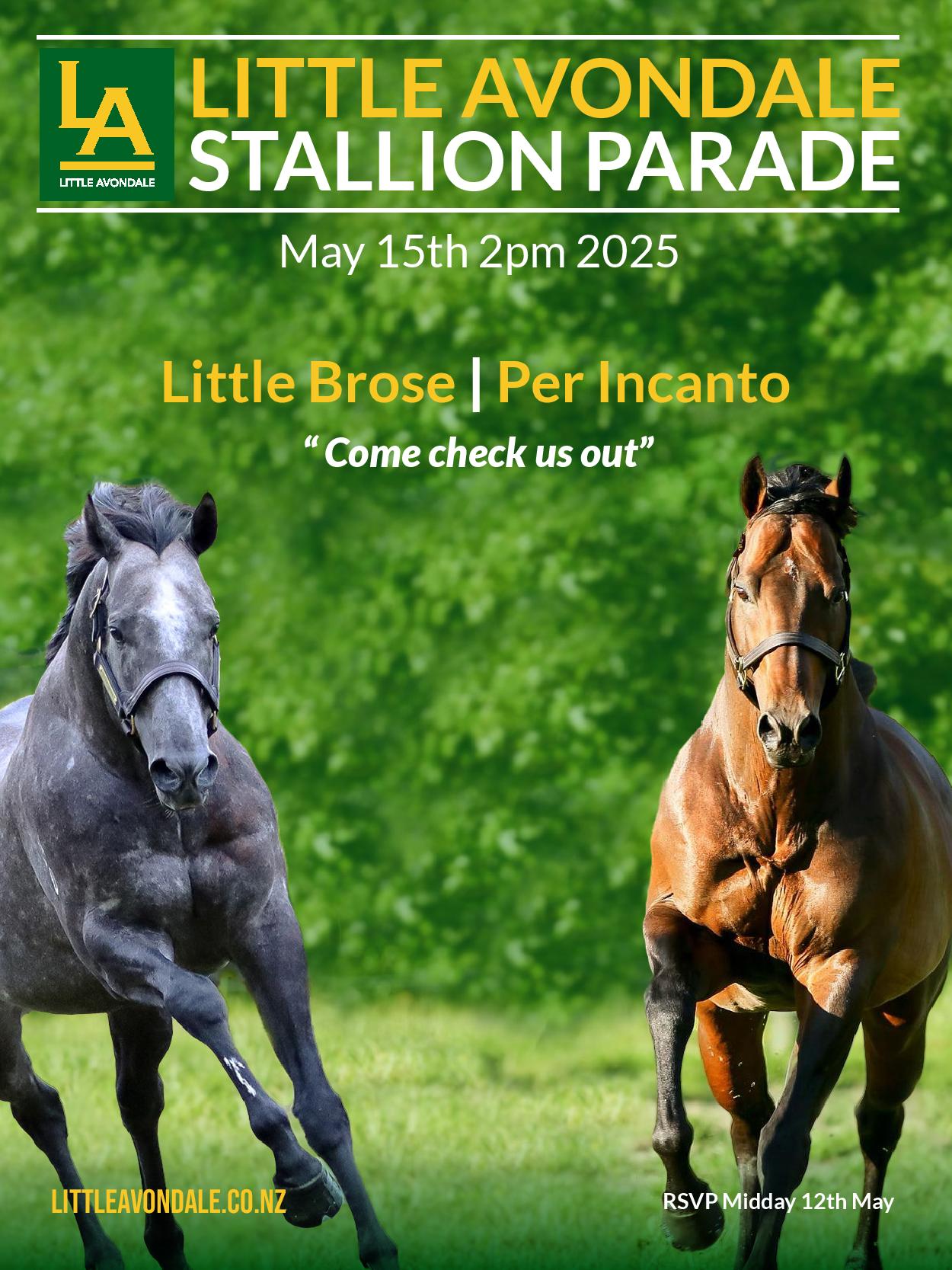 LA Stallion Parade 2025