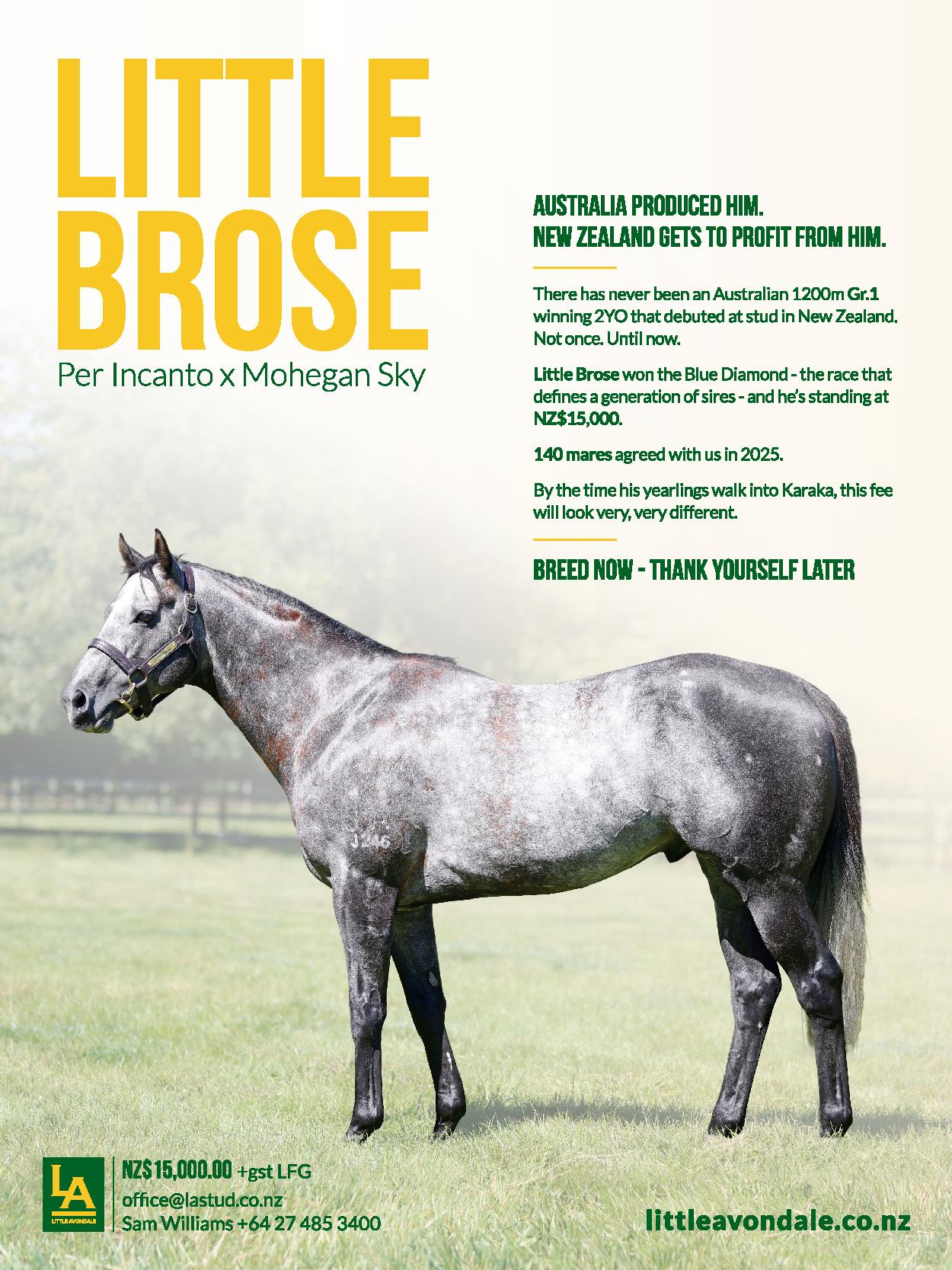 Look Smart in Two Years Time Owners Bulletin