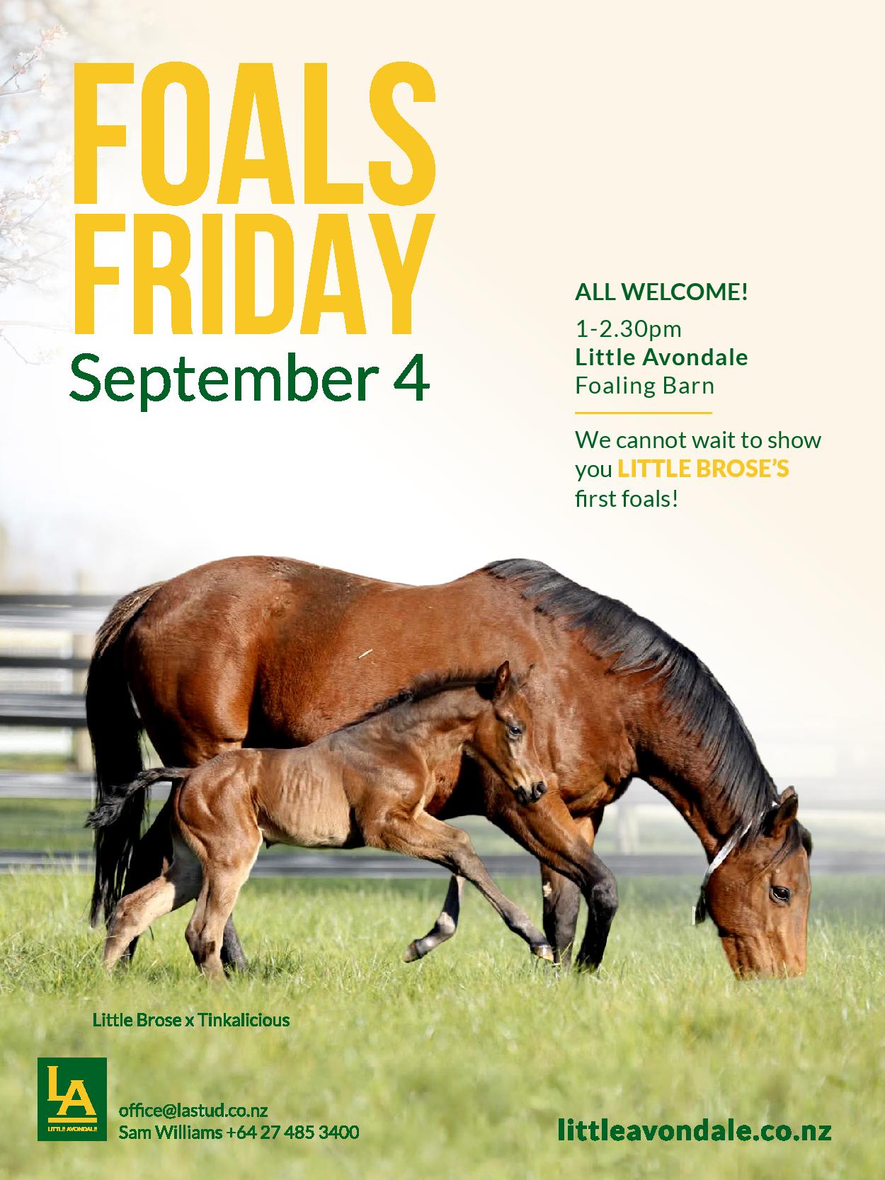 SEPT 4 1 - 2.30pm Owners Bulletin