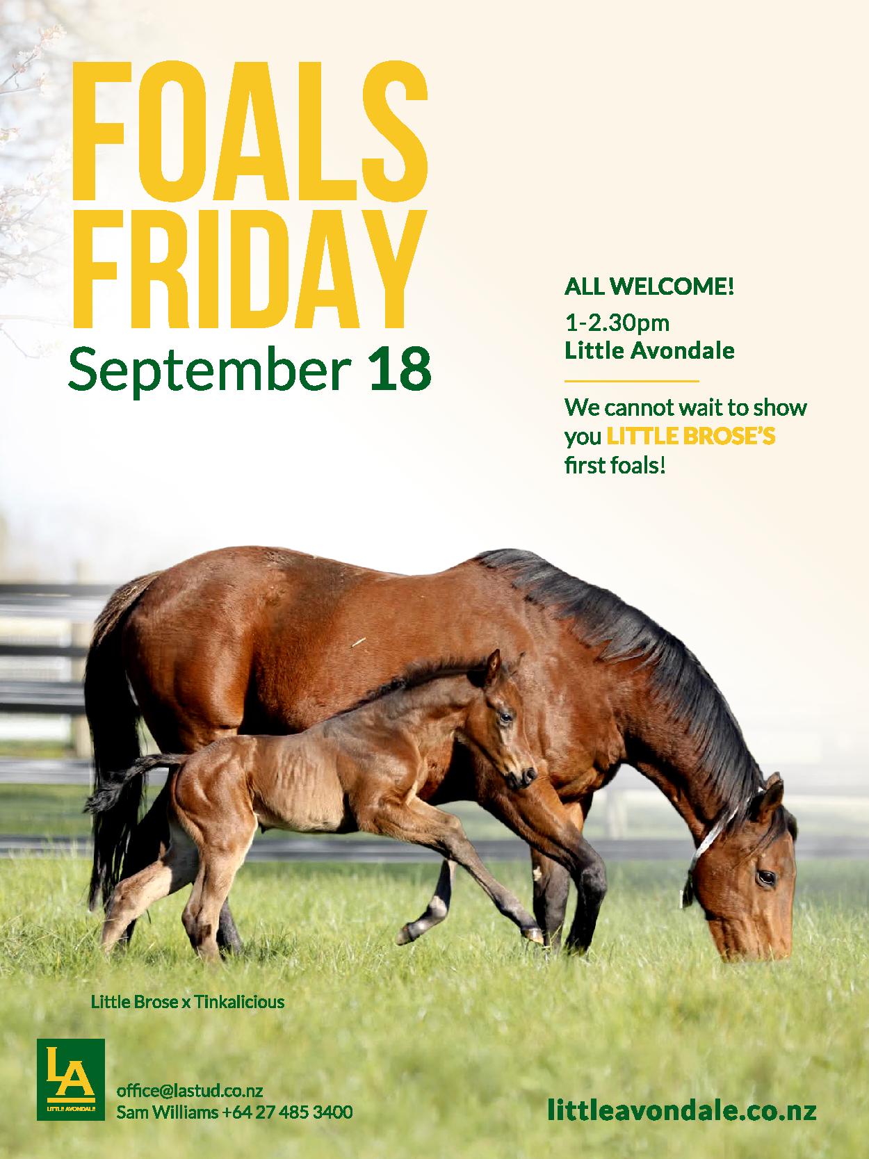 SEPT 4 1 - 2.30pm Owners Bulletin